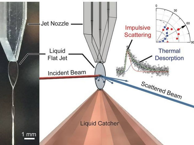 Image courtesy of Chin Lee, University of California at Berkeley.