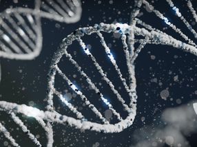 Entmystifizierung der DNA-Hybridisierungskinetik