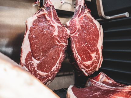 Kontrolleure finden Fliegenlarven in Fleisch-Delikatesse