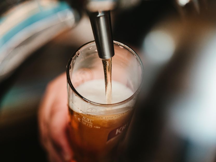 Bierabsatz im ersten Halbjahr gestiegen