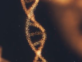 A "nano-robot" built entirely from DNA to explore cell processes