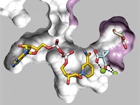 Aktives Zentrum des Enzyms BurG, das eine hoch reaktive chemische Verbindung bildet, die eine entscheidende Rolle bei Melioidose spielt.