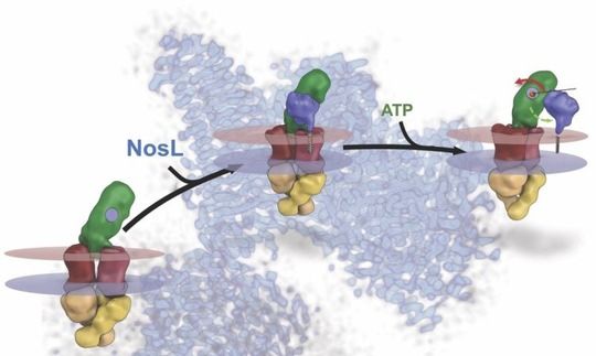 El óxido nitroso, modelo molecular. La fórmula química es N2O, con