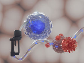 Cuando las células T (esfera azul-blanca) se llenan de energía en forma de cuerpos cetónicos (azul), pueden luchar más eficazmente contra los virus.