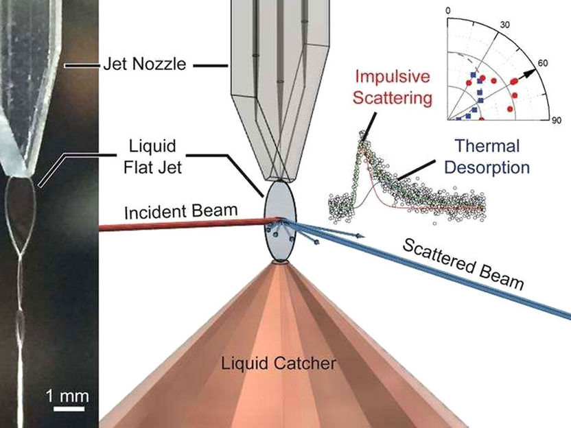 Image courtesy of Chin Lee, University of California at Berkeley