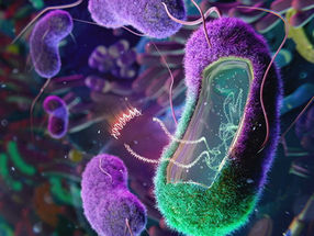 Engineering the microbiome to potentially cure disease