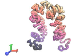 Vorhersage der 3D-Struktur eines Abschnitts der menschlichen genomischen DNA