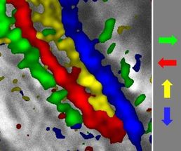 Motional layers in the brain