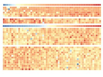 Typical protein profile of tumor cells decoded