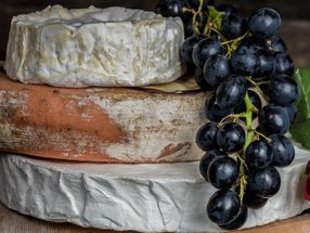 Global Vegan Cheese Markets, 2022-2026