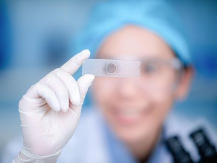 Chemisch-pharmazeutische Industrie spart an der Forschung