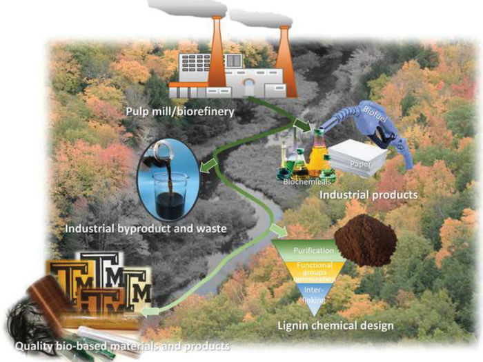 El reto de fabricar fibra de carbono a partir de plantas: una producción  más verde, m