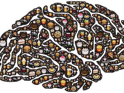 La cartographie du contrôle de l'alimentation par le tronc cérébral pourrait conduire à de meilleurs traitements de l'obésité