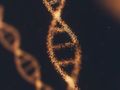 Variantes en los genes BRCA1/2 y MMR en niños con cáncer