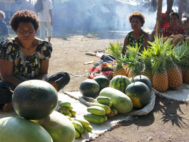 Une étude révèle que la diversité agricole a un impact positif sur la sécurité alimentaire