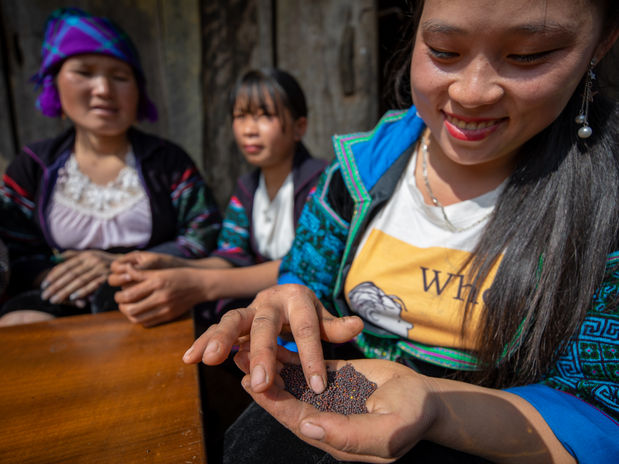 Alliance of Bioversity and CIAT / Trong Chinh