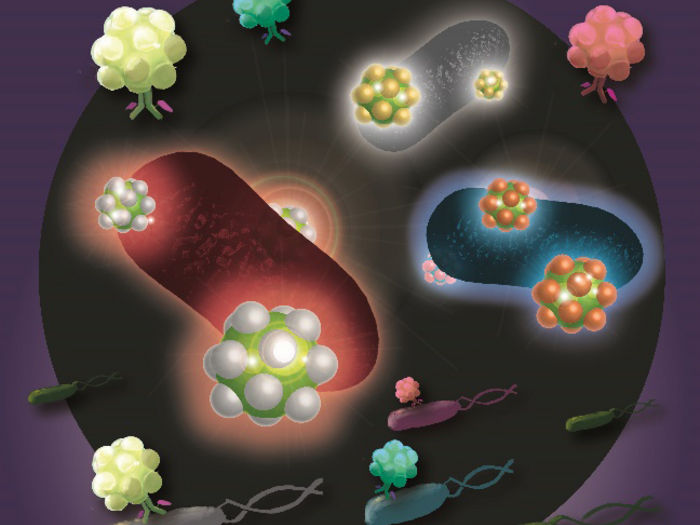 White, red, and blue signals alert you to dangerous germs! - A simple, rapid method to simultaneously identify multiple food poisoning bacteria