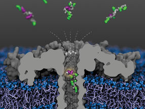 Utiliser des nanopores pour détecter plus rapidement les modifications épigénétiques