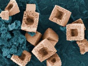 Seltene Einblicke in das Wachstum von Nanopartikeln