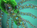 Bactéries produisant des nanofils constitués de cytochrome OmcS.