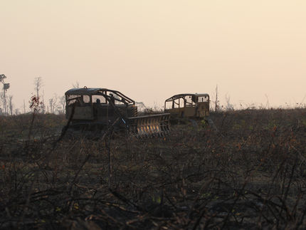 Mechanische Rodung von verbranntem Wald im ostbrasilianischen Amazo