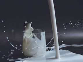 The future of real milk without cows