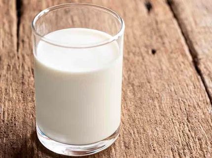 Nestlé explore les technologies émergentes pour les protéines laitières sans animaux