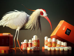 Thank the rare crested ibis for a clue that could someday help our bodies make better drugs.