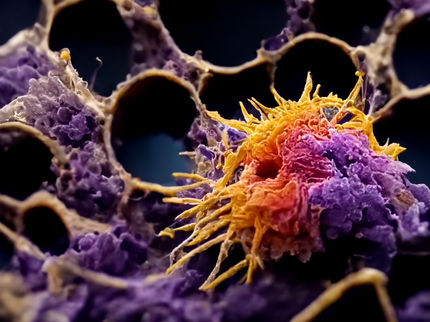 Des chercheurs transforment des cellules cancéreuses en types de cellules moins nocives