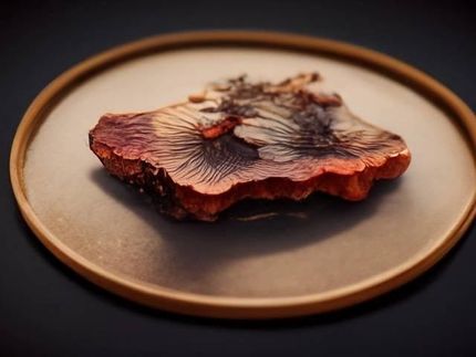 Adamo Foods investit 620 000 dollars pour lancer la première alternative ultra-réaliste au "steak" en Europe.