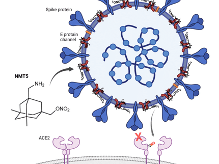 Un nouveau médicament pourrait retourner le virus COVID-19 contre lui-même