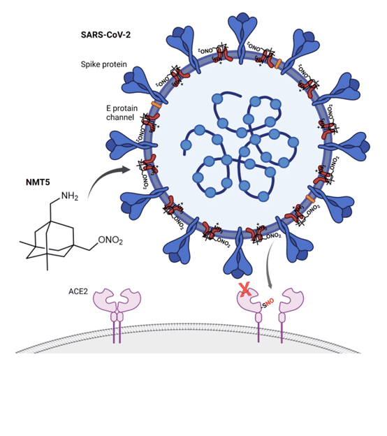 New drug has potential to turn COVID-19 virus against itself - A new drug designed by scientists at Scripps Research can turn the COVID-19 virus into a harbinger of its own doom