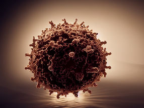 Coronavirus formation is successfully modeled