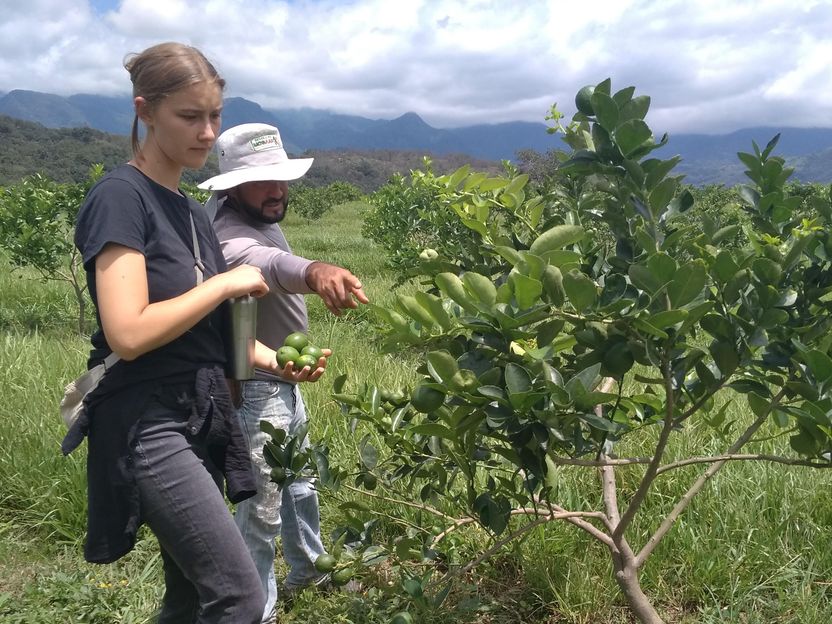 Sweet drinks often easier to have than drinking water - Münster University of Applied Sciences student investigated the impact of highly processed foods in Mexico