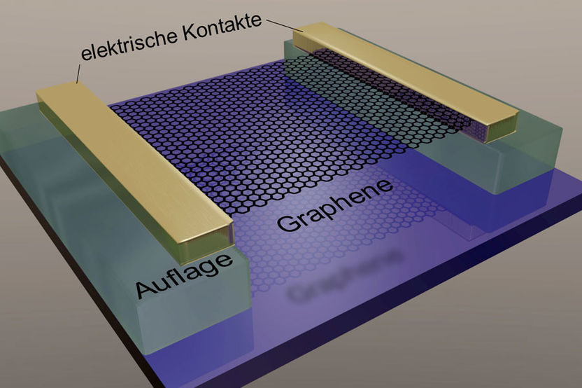 Swiss Nanoscience Institute