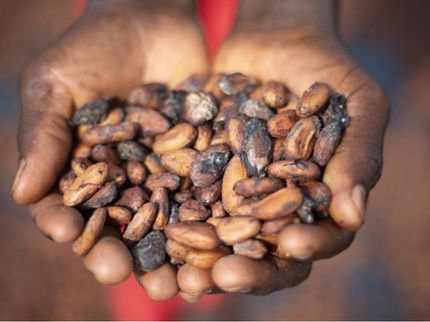 100 % de cacao responsable pour les produits chocolatés de Mars Wrigley en Europe