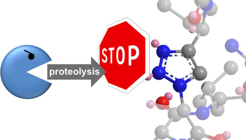 Illustration aus: Valverde, I. E., Bauman, A., Kluba, C. A., Vomstein, S., Walter, M. A. and Mindt, T. L. (2013), 1,2,3-Triazoles as Amide Bond Mimics: Triazole Scan Yields Protease-Resistant Peptidomimetics for Tumor Targeting . Angew. Chem. Int. Ed., 52: 8957–8960. Copyright Wiley-VCH Verlag GmbH & Co. KGaA. Reproduced with permission.