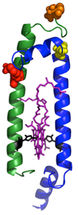 Lab-made complexes are “sun sponges”