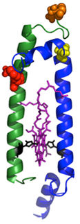 Lab-made complexes are “sun sponges”