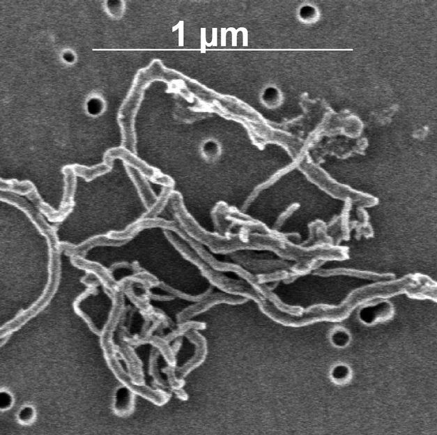 Kohlenstoff-Nanoröhren und die Umwelt