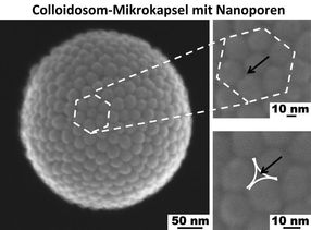 Neuartige Mikrokapseln entwickelt