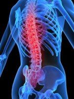 back_pain_long_spine3