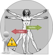 Rechts-Links-Asymmetrie bei der Herzentwicklung