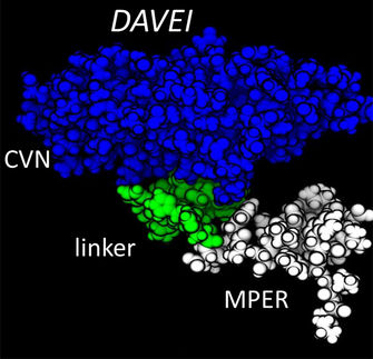 Disarming HIV with a "pop"