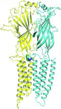 Development of new anesthetics