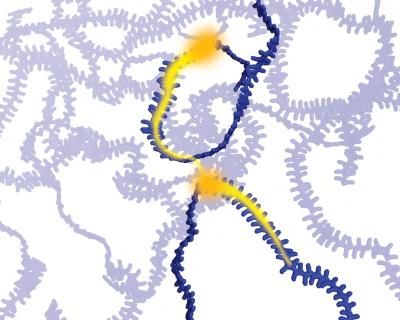 Formula to improve 'plastic' semiconductors