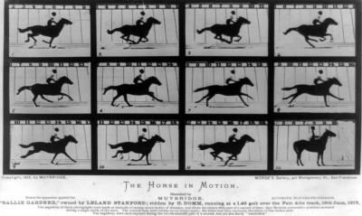 Photograph by Eadweard Muybridge, 1878