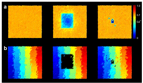 PLOS Computational Biology