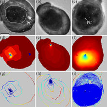 Heepe et al., Physical Review Letters (2013)