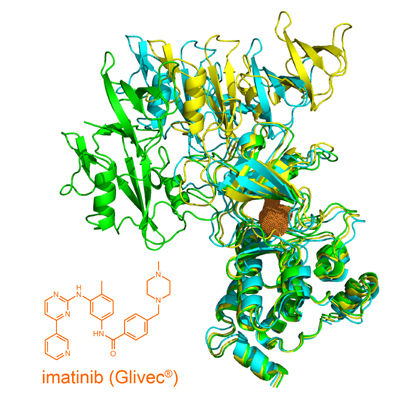 Interaction between two leukemia drugs explained